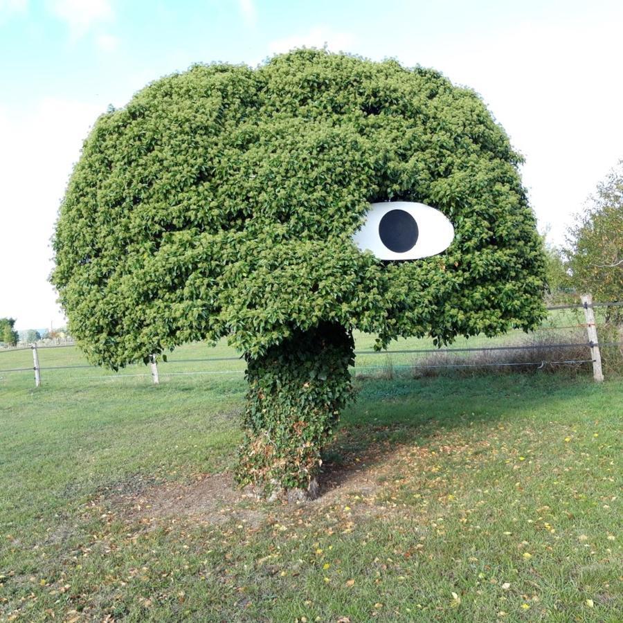 Gite Dans Parc De Sculptures - Gite "Pondichery" Port-Mort Exterior photo